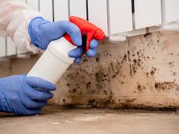 Mold Remediation for Rental Properties in Cool Valley, MO